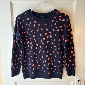 J. Crew Navy and Pink Patterned Women's Sweater